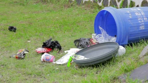 Monkeys eating from garbage 스톡 동영상 12175145