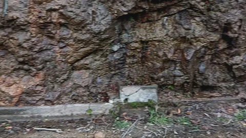 Monkeys enjoy drinking spring water flowing on rocks Stock Footage 267517853