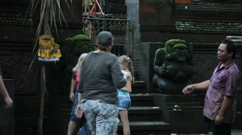 Monkeys forest in Ubud , Bali Stock Footage 979153
