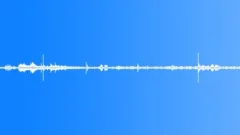 Monkeys jump in the canopies of treesSound Effect