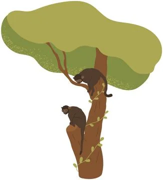 Monkeys with long tails sitting on tree. Jungle wildlife representatives, dark Stock Illustration