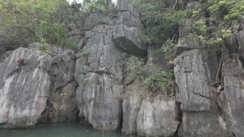 Monkeys playing on limestone karsts at halong bay Stock Footage 288568028