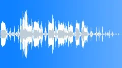 Monkeys Screeching in treesSound Effect