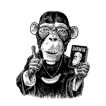 Monkeys in a T-shirt with the theory of evolution on the contrary. イラスト素材