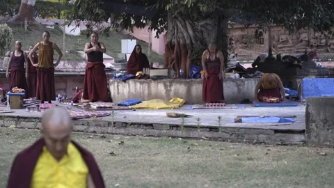 Monks making prostrations, Mahabodhi temple complex. Stock Footage 230161150