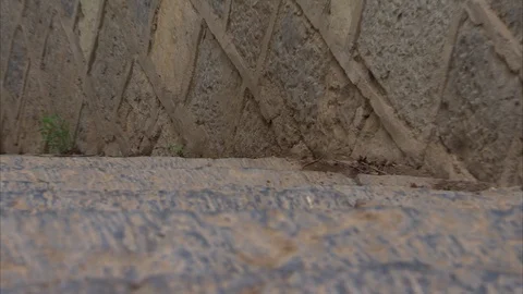 Monks practicing stair training Stock Footage 89762132