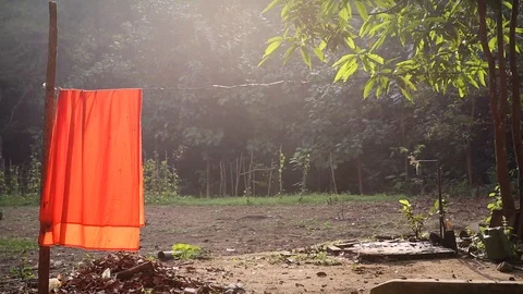 Monks robe hanging to dry next to forest temple in Sri Lanka Stock Footage 104122585