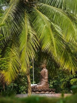 A monk's statue Stock Photos