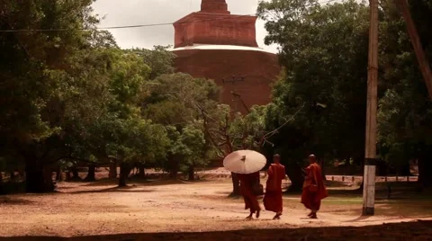 Monks walking in field_0722 Stock Footage 41344900