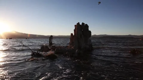 Mono Lake CA Waves And Tufa Formations Sunrise Stock Footage 209346661