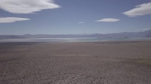 Mono lake cinelike Stock Footage 231599560