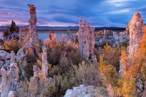 Mono lake Stock Photos