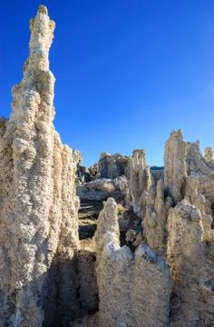 Mono Lake Stock Photos