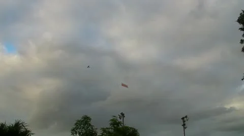Mono-motor plane pulling aerial banner Video stock 10561914
