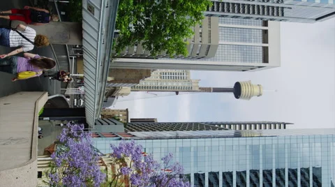 Mono Rail with Sydney Tower Stock Footage 51851415