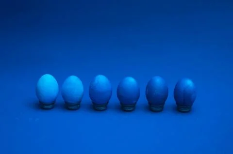 Monochromatic classic blue easter concept. dyed easter eggs Stock Photos