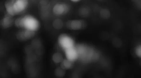 Monochromatic Dreamscape Soft Light Forms Abstract Texture Background Stock Photos