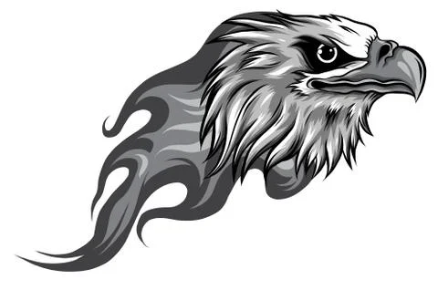 Monochromatic Eagle Head with Flames vector illustration design 스톡 일러스트
