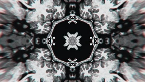 Monochromatic elegant hypnotic scientific style kaleidoscope. Stock-Footage 280619030