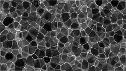 Monochromatic Fluctuating Liquid Cellular Pattern Stock Footage 344914246