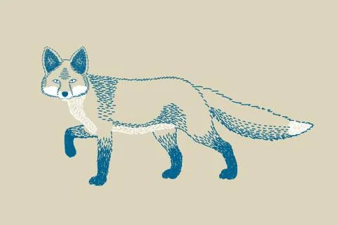 Monochromatic fox draw Stock Illustration