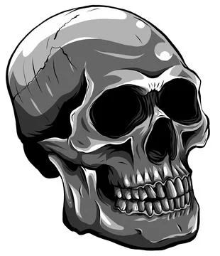 Monochromatic Realistic red skull. vector Illustration for designer on a white Stock Illustration