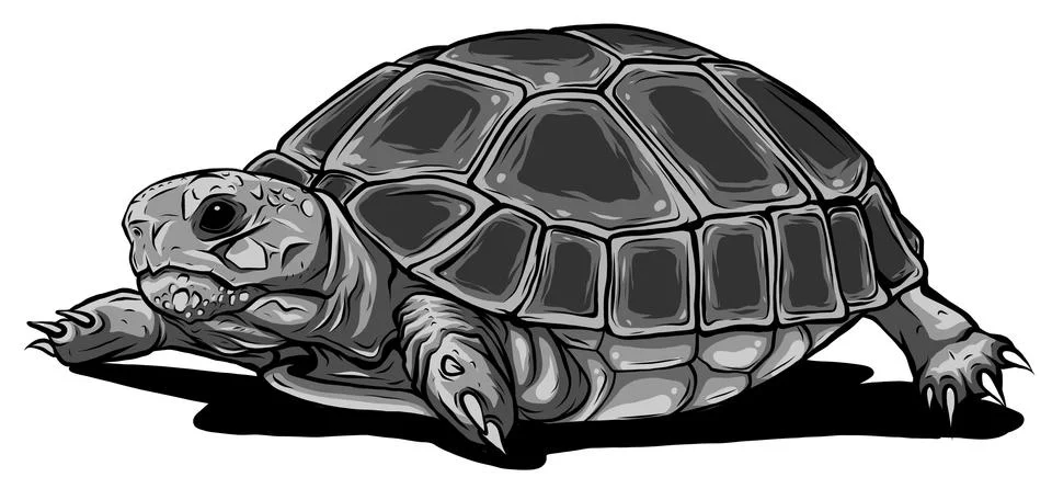Monochromatic Turtle vector icon.Cartoon vector icon isolated on white Stock Illustration
