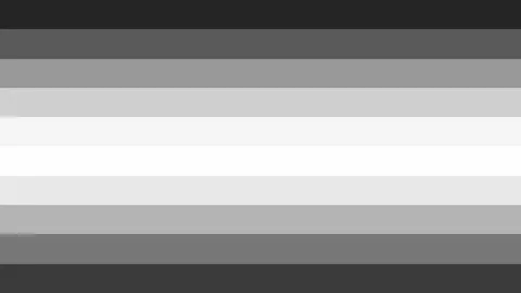 Monochrome 10 Lines Gradient Horizontal Loop Stock Footage 241651611