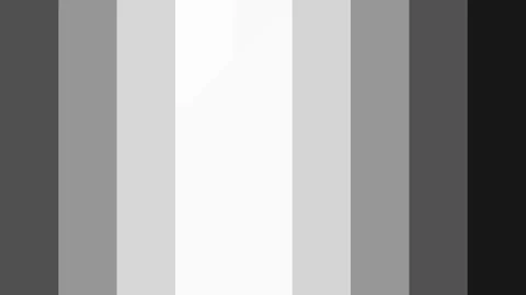 Monochrome 10 Lines Gradient Vertical Loop Stock Footage 241651614
