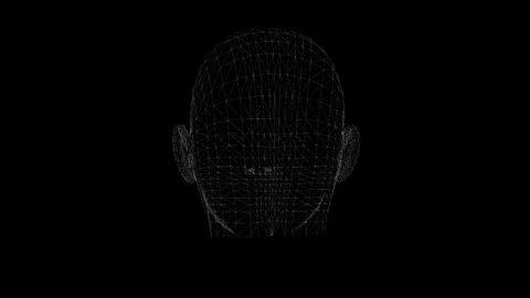 Monochrome 3D Mesh Human Head Wireframe on Black Background Visualization Stock Footage 341778586