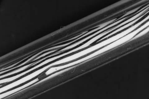 Monochrome abstract of eel with transparent background and stripes Stock Photos