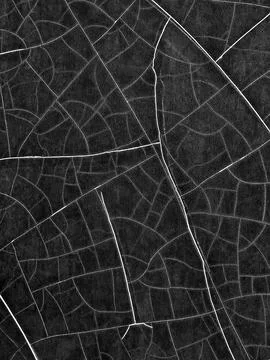 Monochrome Abstract Fissure Pattern Stock Photos