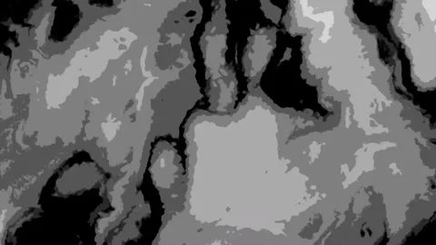 Monochrome abstract flowing organic texture background. 4K Video Stock Footage 340378258