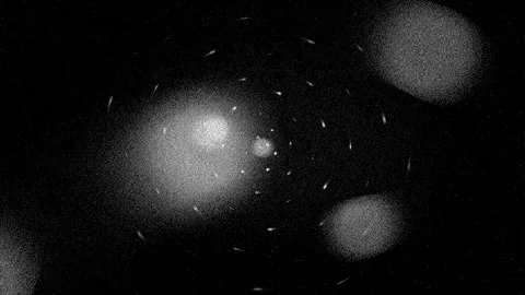 Monochrome Abstract Grainy Particles Drifting on Black Background Stock Footage 336776145