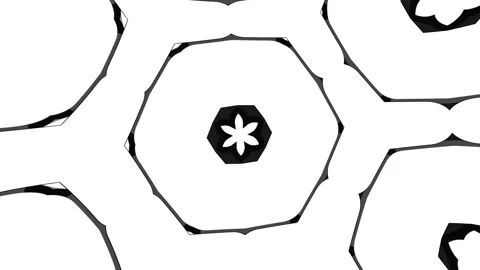 Monochrome Abstract Pattern Animation with Kaleidoscopic Symmetry, Geometric 3D  Stock Footage 340018036