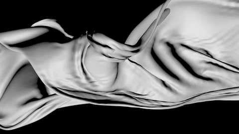 Monochrome Abstract Waves: Dynamic Fluidity in Motion and Graceful Curves i.. Video stock 341926698