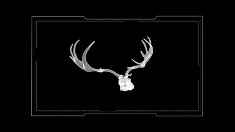 Monochrome Antler Skeleton on Black Background: Artistic Interpretation 库存影片 343035131