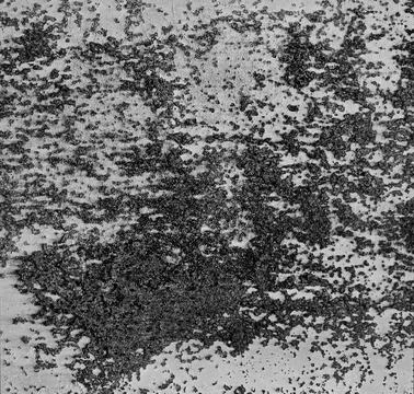 Monochrome backdrop of rusty surface dark gray hues. Black and white grunge rust Stock Photos