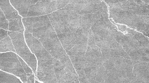 Monochrome background features white branching lines. Textured gray surface s Stock Photos
