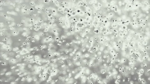 Monochrome background 스톡 동영상 151962952