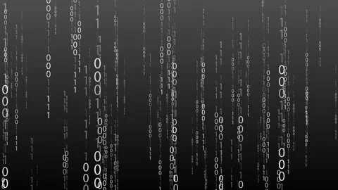 Monochrome Black White Digital Binary Data Stream Video stock 320028661