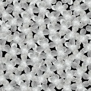 Monochrome black-white seamless pattern with wild field flowers. Stock Illustration