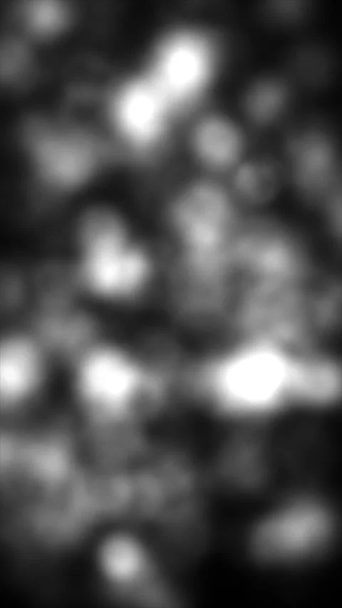 Monochrome bokeh effect Stock Footage 315008183