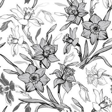 Monochrome botanical seamless pattern with hand drawn flowers daffodils Stock Illustration