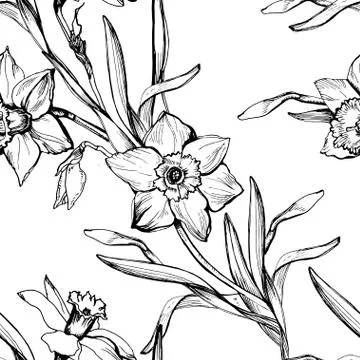 Monochrome botanical seamless pattern with hand drawn flowers daffodils. Stock Illustration