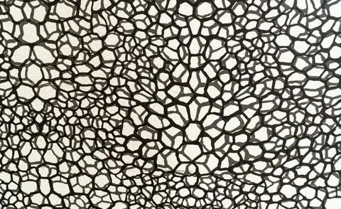 Monochrome Cellular Pattern Wall Panel with Large Organic Cells Fotos Stock