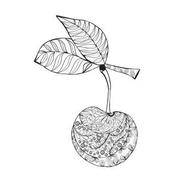 Monochrome Cherry. Hand-drawn element Stock Illustration