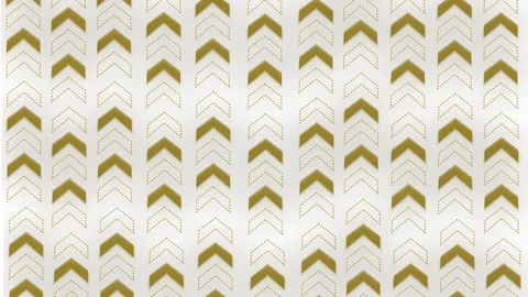 Monochrome chevron arrow pattern background animation 库存影片 329842037