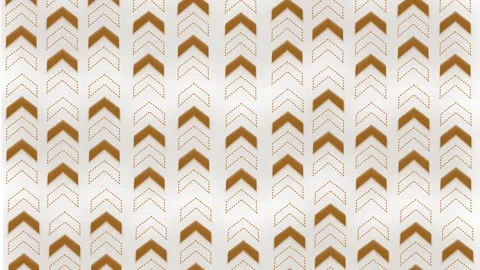 Monochrome chevron arrow pattern background animation Stock Footage 329842041
