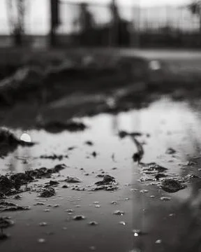 Monochrome close-up of puddle reflections capturing abstract shapes and lig.. 写真素材